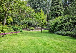 Optimiser l'expérience du jardin à Noyelles-les-Seclin